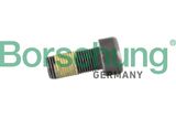 Borsehung Hoorattakruvi B12950