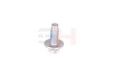 GH Polt GH-393311