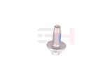 GH Polt GH-393311