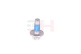 GH Polt GH-393311