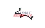 FAST Топливопровод FT00702