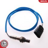 ESEN SKV Lambda andur 09SKV038