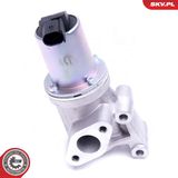 ESEN SKV EGR-klapp 14SKV211