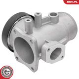 ESEN SKV EGR-klapp 14SKV298