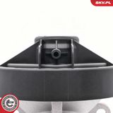 ESEN SKV EGR-klapp 14SKV298