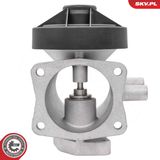 ESEN SKV EGR-klapp 14SKV298