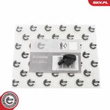 ESEN SKV Распылитель воды для чистки, система очистки окон 15SKV204