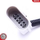 ESEN SKV Датчик импульсов 17SKV509