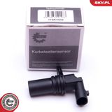 ESEN SKV Датчик импульсов 17SKV533