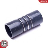 ESEN SKV Ahdinletku 24SKV156