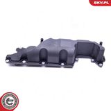 ESEN SKV Крышка головки цилиндра 48SKV010