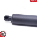 ESEN SKV Электромотор, задняя дверь 52SKV962