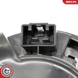 ESEN SKV Salongipuhur 68SKV039