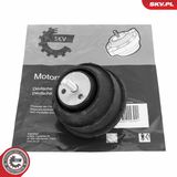 ESEN SKV Подвеска, двигатель 75SKV189
