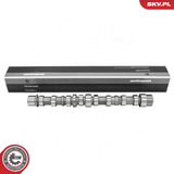 ESEN SKV Распредвал 80SKV066