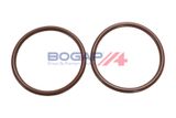 BOGAP Топливный насос A1622185