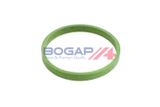 BOGAP Прокладка, впускной коллектор A1715119