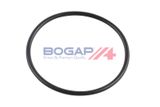 BOGAP Водяной насос, охлаждение двигателя A4234170