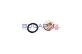 BOGAP Датчик, температура охлаждающей жидкости R4126103