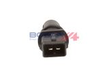 BOGAP Sensor, insugslufttemperatur R6129101