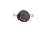 BOGAP Sensor, insugslufttemperatur R6129101