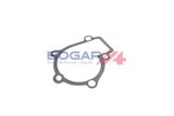 BOGAP Водяной насос, охлаждение двигателя Y4234110