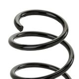 RIDEX Пружина ходовой части 188C0313