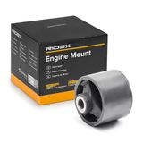 RIDEX Motormontering 247E0229