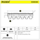 RIDEX Flerspårsrem 305B0285