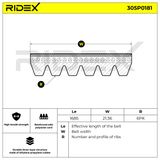 RIDEX Flerspårsrem 305P0181