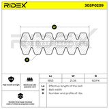 RIDEX Flerspårsrem 305P0209