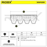RIDEX Ķīļrievu siksna 305P0293