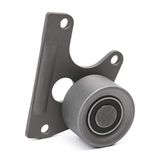 RIDEX Ohjainrulla, hammashihna 313D0139