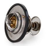 RIDEX Termostaat, jahutusvedelik 316T0214