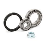 RIDEX Pyöränlaakerisarja 654W0470