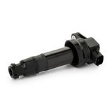 RIDEX Süütepool 689C0161