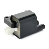 RIDEX ritė, uždegimas 689C0353