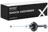 RIDEX Амортизатор 854S1036