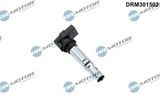 Dr.Motor Automotive Süütepool DRM301502