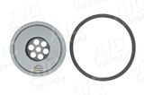 AIC Hüdraulikafilter,roolimine 54480