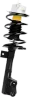 Vedruamort-/Amort/-osad