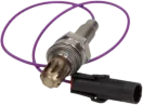 Sensor / Sond